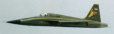 Azarakhsh kampfly