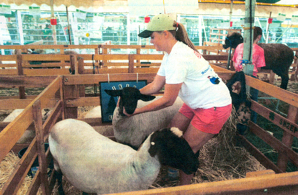 4-H